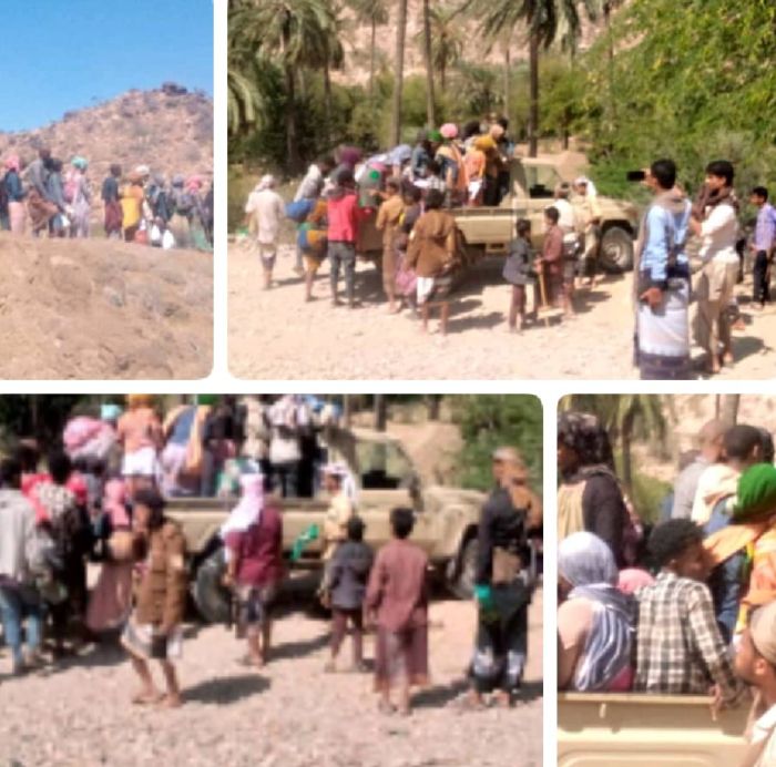  دخلوا اليمن بطريقة غير شرعية .. ابناء زريقة الشام يلقون القبض على 31 افريقيًا