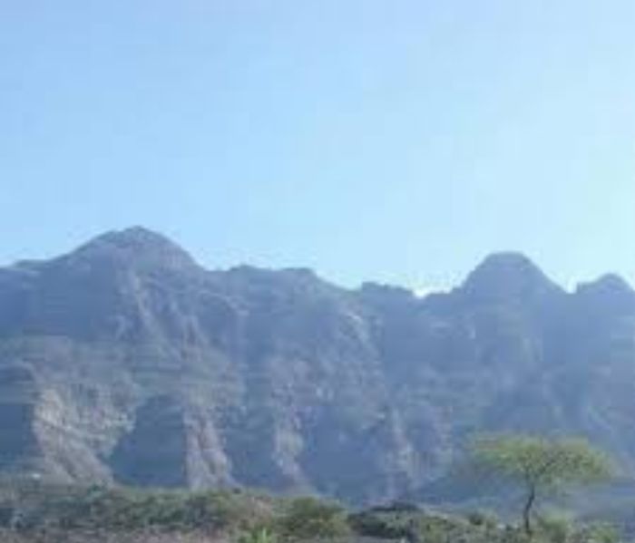  عصابة الحوثي تداهم منطقة "العود" في إب وتختطف 40 مواطنًا بينهم شيخ بارز  