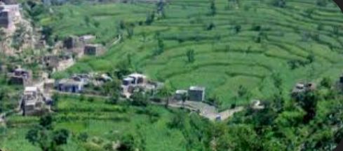  تعرض سائق لاعتداء وحشي على يد عصابة الحوثي في ريمة