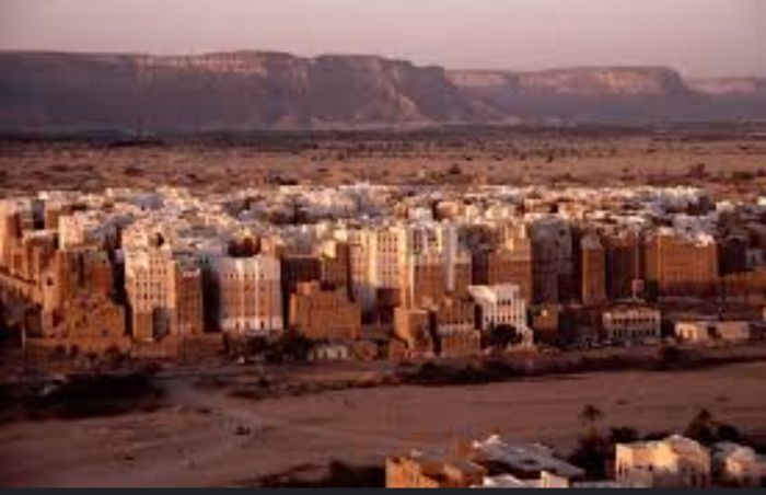  حضرموت .. مختل يقتل عاملين في محطة للوقود وينتحر