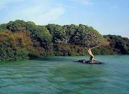 ميليشيا الحوثي تحوّل جزيرة كمران إلى قاعدة عسكرية متقدمة وتشكل تهديداً للملاحة الدولية في البحر الأحمر