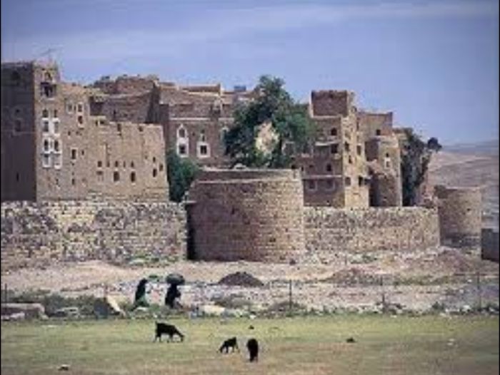  عمران: اعتصام مفتوح لقبائل حجور احتجاجًا على ممارسات الحوثي