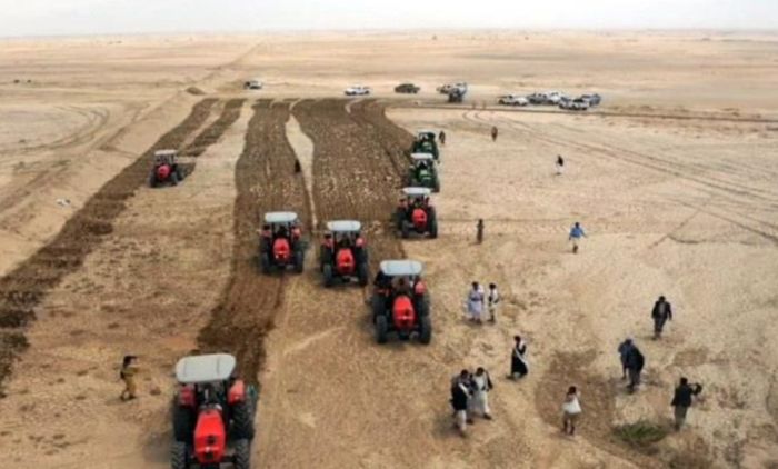  مؤسسة زراعية حوثية تنهب مزارعي الحبوب بالجوف مليار ريال