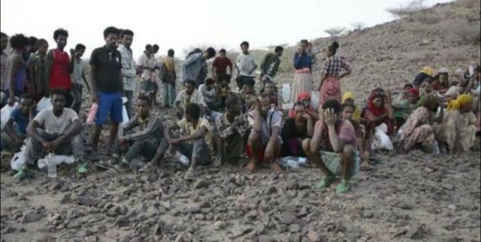  تمارسها عناصر حوثية ومن القاعدة في الصومال.. حملة أمنية تحرر 177 مهاجرًا وتضبط 6 مهربين غربي تعز