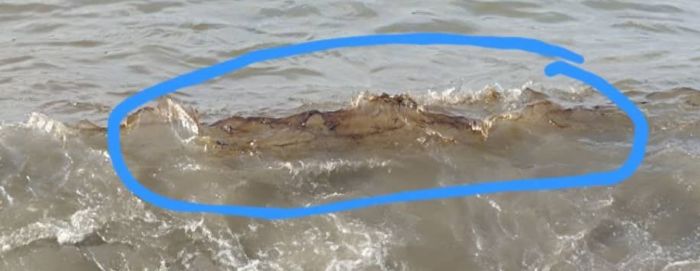  الكشف عن تلوث نفطي جديد في أحد سواحل عدن