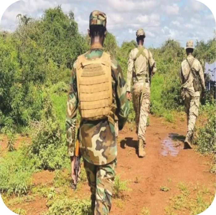  هزة أرضية تضرب المحويت