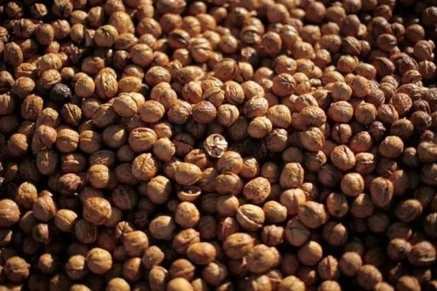 ما أفضل الأطعمة لصحة الدماغ بعد سن الأربعين؟