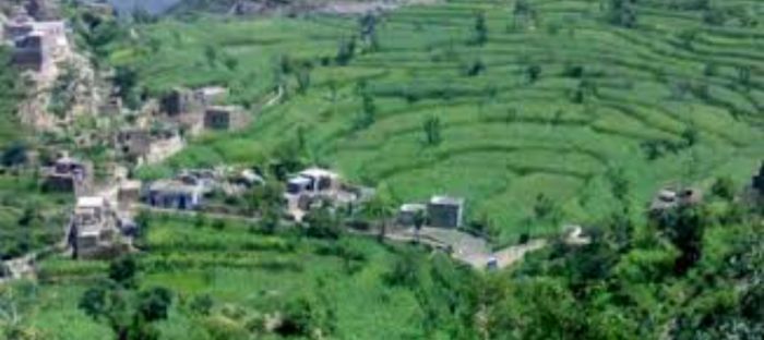  ريمه ..خلاف بين مشرف حوثي ومسلح من المليشيا ينتهي بجريمة قتل