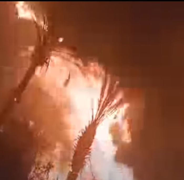  حريق يلتهم بساتين نخيل في مديرية القطن بوادي حضرموت  