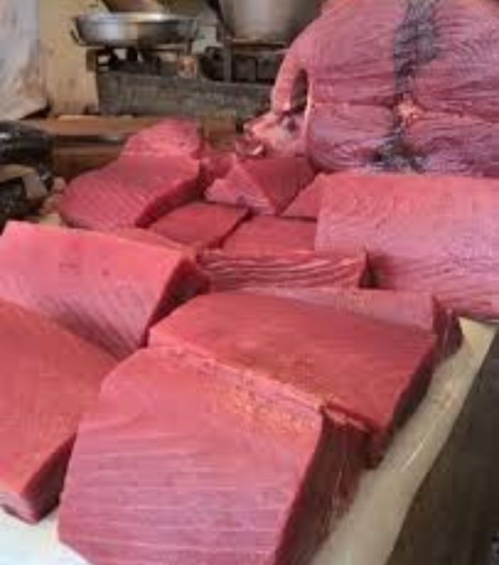  اختفاء الأسماك من أسواق العاصمة المؤقتة عدن.. استفحال المعاناة