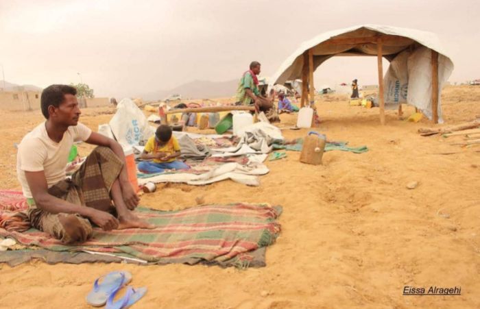  الجوع يفتك بالنازحين في مخيمات عبس بحجة .. اتهامات لعصابة الحوثي بتحويل المساعدات الإنسانية إلى أداة سياسية وأمنية