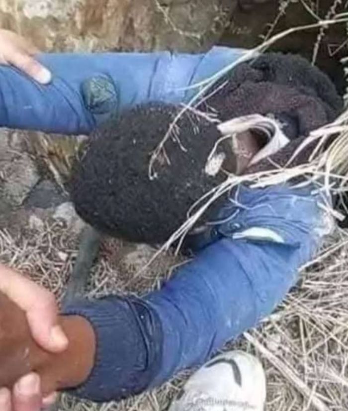  بعد يوم من اختفائه .. إنقاذ راعٍ سقط في بئر مهجورة بتهامة