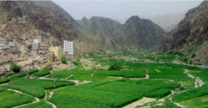  طفل يقتل آخرًا في لحج