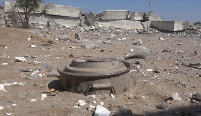 البيضاء.. استشهاد فتاتين بانفجار لغم حوثي أثناء رعيهما الأغنام