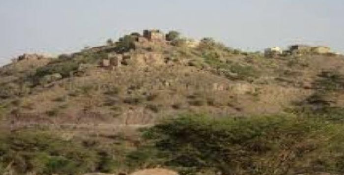  ناشطون يطالبون بإعادة أراضي جبل صبران في الشمايتين إلى ملاكها الشرعيين