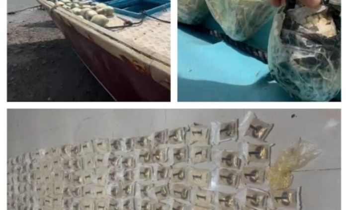 الأمن يوجه ضربات جديدة لتهريب وترويج المخدرات في لحج والمهرة