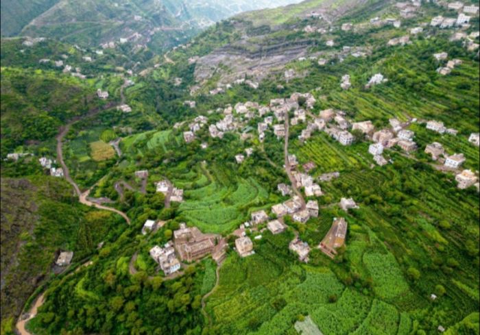  مقتل شابة قبل يوم من زفافها في إب