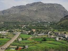 جريمة مروعة تهز إب.. شاب يقتل والده في قرية ظلم بالنادرة