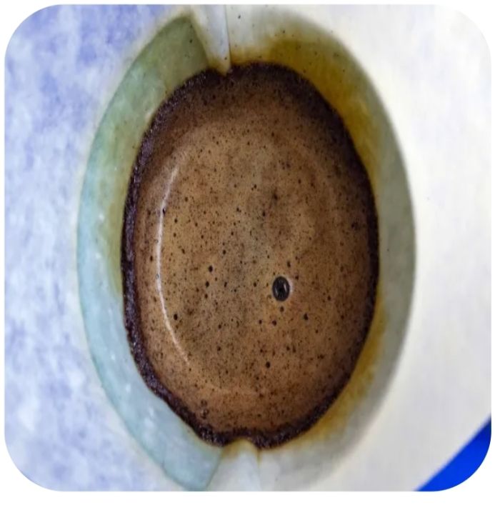 8 مشروبات صحية بديلة عن القهوة لتعزيز طاقتك في الصباح