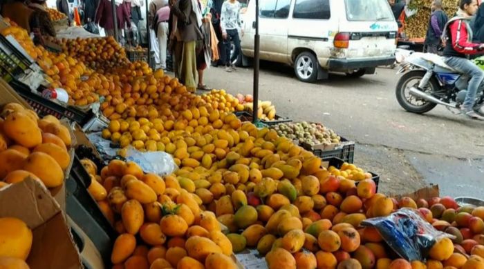  تكدس الفواكه في مناطق الشرعية والحوثيين بسبب عدم صرف المرتبات