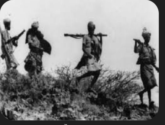 ارتباط وثيق بين ثورتي 26 سبتمبر و14 أكتوبر.. تجسيد لوحدة النضال اليمني ضد الاستبداد والاستعمار