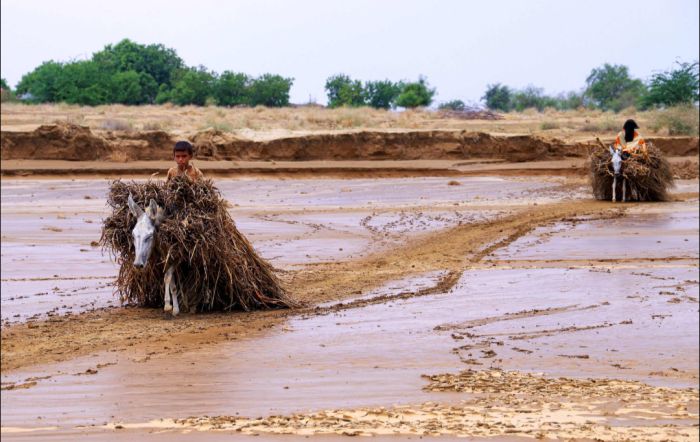  تقرير دولي: نصف مليون متضرر في اليمن جراء الفيضانات خلال شهرين