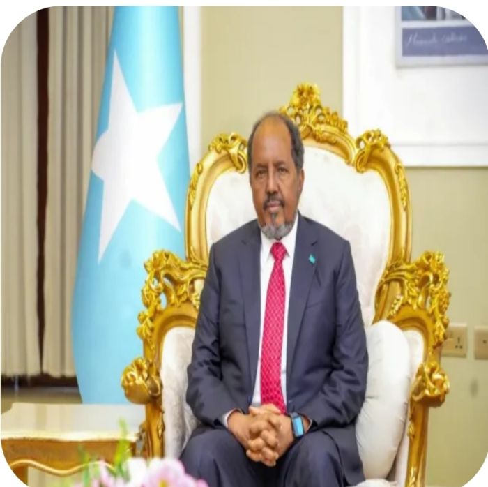 تحركات رئاسية صومالية لاحتواء المعارضة