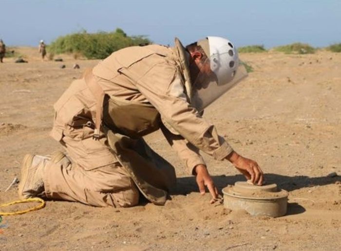  تفكيك أكثر من 800 لغم حوثي خلال أسبوع