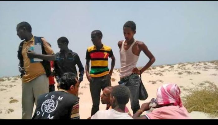  أكثر من 300 مهاجر أفريقي يصلون إلى سواحل شبوة في دفعة جديدة