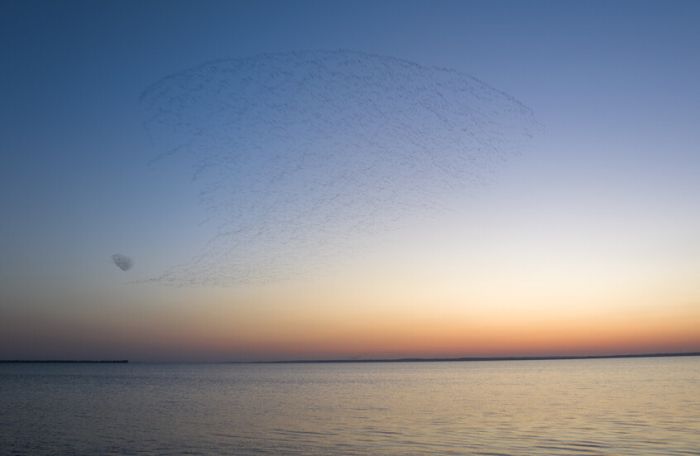 بوتين يحذر من أزمة المياه في العالم.. فما هي الدول الأكثر غنى بالمياه العذبة؟