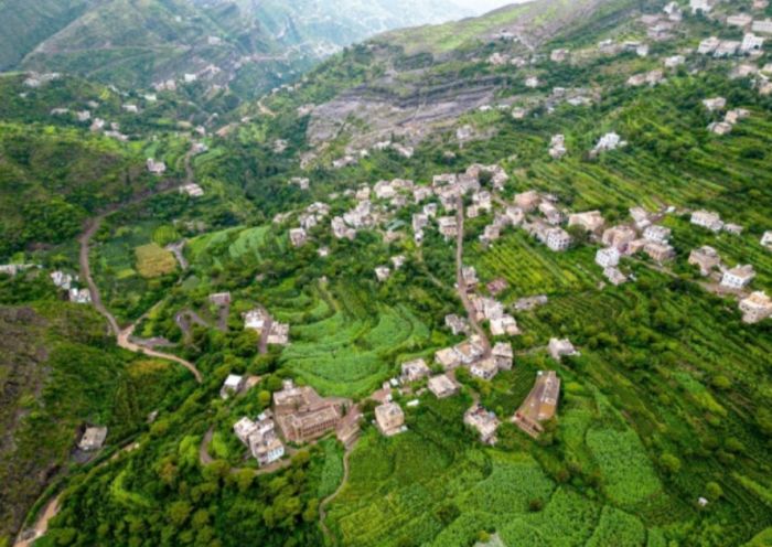  قيادي حوثي ينجو من اغتيال في إب وإصابة مرافقيه