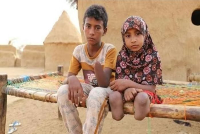  الاتحاد الأوروبي يؤكد: مليشيا الحوثي حولت اليمن إلى “حقول موت خفي”
