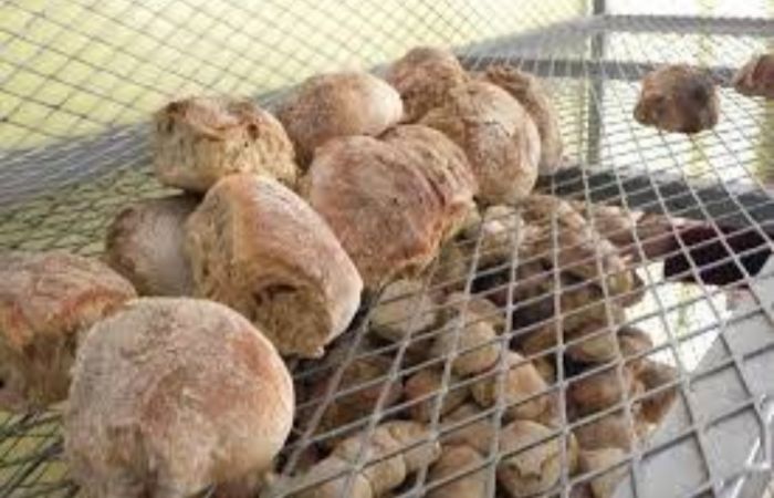  ناشطة يمنية تتهم الحوثيين بالاستيلاء على الأفران الخيرية