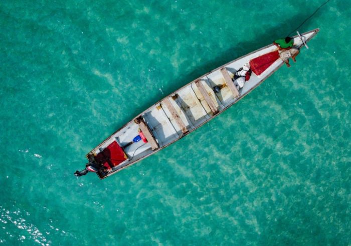  الأمم المتحدة تدرّب 3 آلاف صياد يمني لتعزيز استدامة قطاع الأسماك في البحر الأحمر وخليج عدن