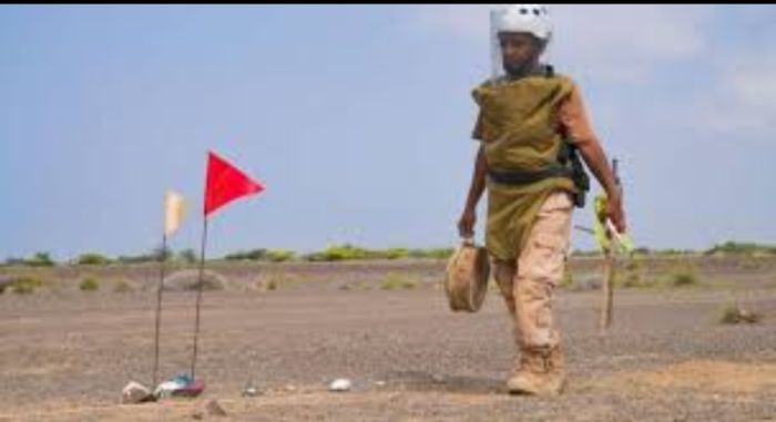  حجة .. الإعلان عن تطهير منطقة شديدة التلوث بالألغام في ميدي ونزع 38 لغماً جديداً