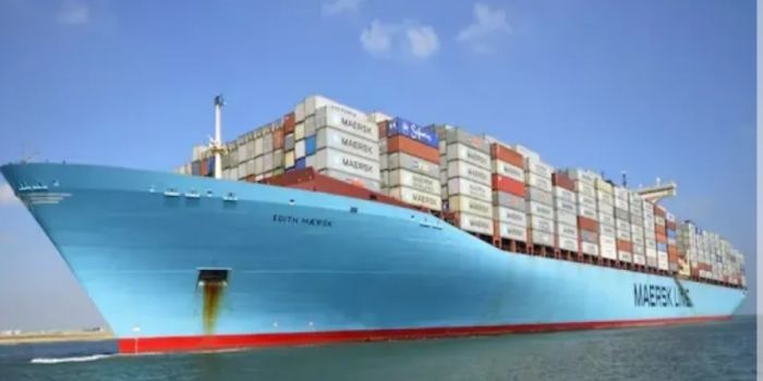  ميرسك تعلن استئناف رحلاتها البحرية عبر البحر الأحمر