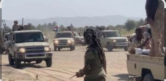  إحباط هجوم واسع لتنظيم القاعدة على مواقع عسكرية في صعيد شبوة