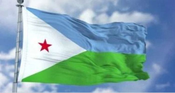  الخارجية الجيبوتية: الحفاظ على مؤسسات الدولة اليمنية أولوية لإنهاء معاناة الشعب