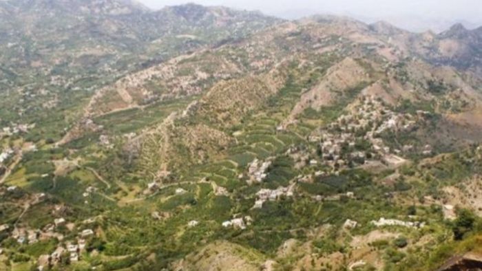  رجل من شرعب يقتل زوجته والدوافع غامضة