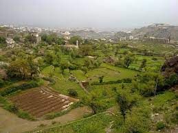  تعز.. ملاحقة متهمين بالإعتداء على راعية اغنام في المعافر بتهمة الأشتباه بإختطاف الاطفال