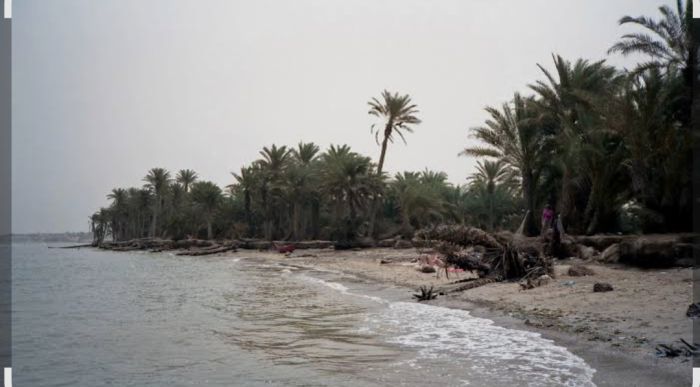  حريق يلتهم منزل نازح في الخوخة ويخلف خسائر مادية جسيمة