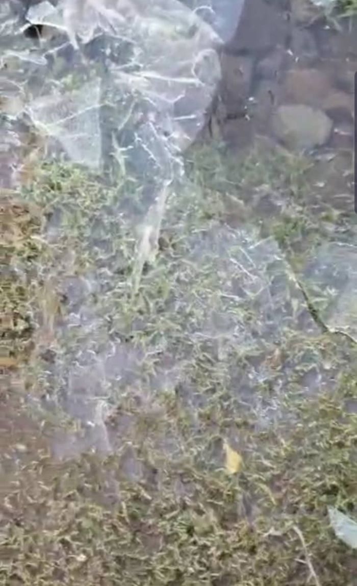  تجمّد المياه في صنعاء وعمران .. طقس شديد البرودة يضرب عدة محافظات يمنية