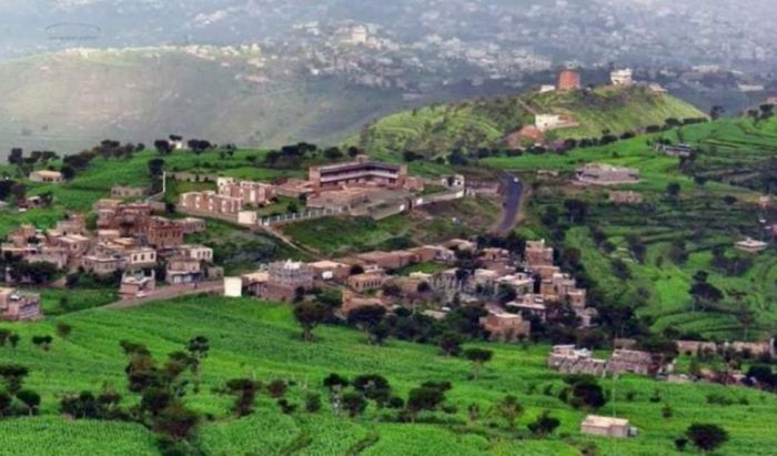  مجهولون يحرقون سيارة مواطن في إب