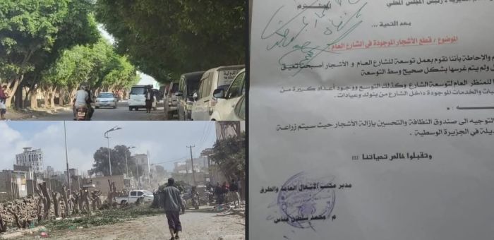 لتخفيف الحملة على الشيباني .. إيلان تُحيل مدير النظافة بالشمايتين للتحقيق على خلفية إزالة أشجار بالشارع العام