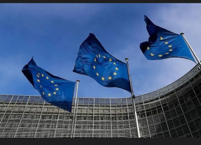  الاتحاد الأوروبي يدين الهجوم الإرهابي الذي استهدف العميد حمدي شكري