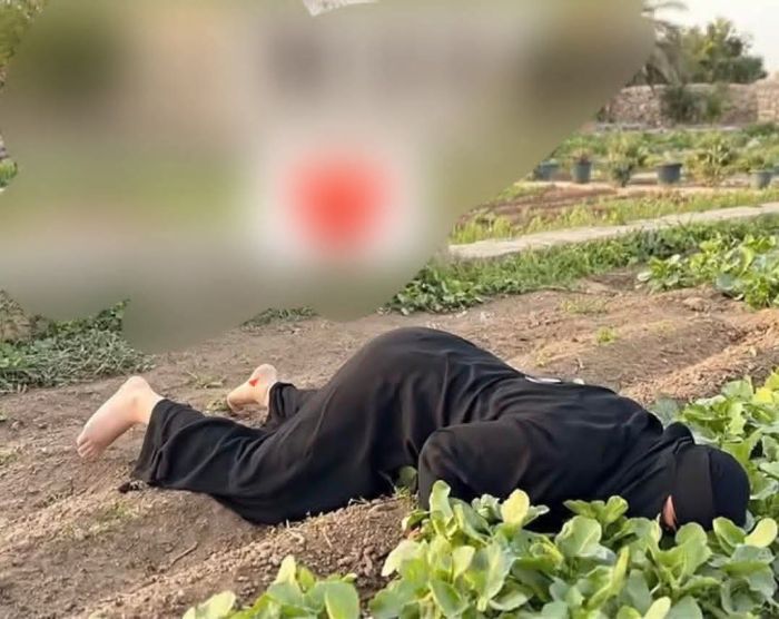  النساء يُقتلن بدم بارد.. جريمة بشعة تودي بحياة امرأة في مناطق الإخوان بتعز