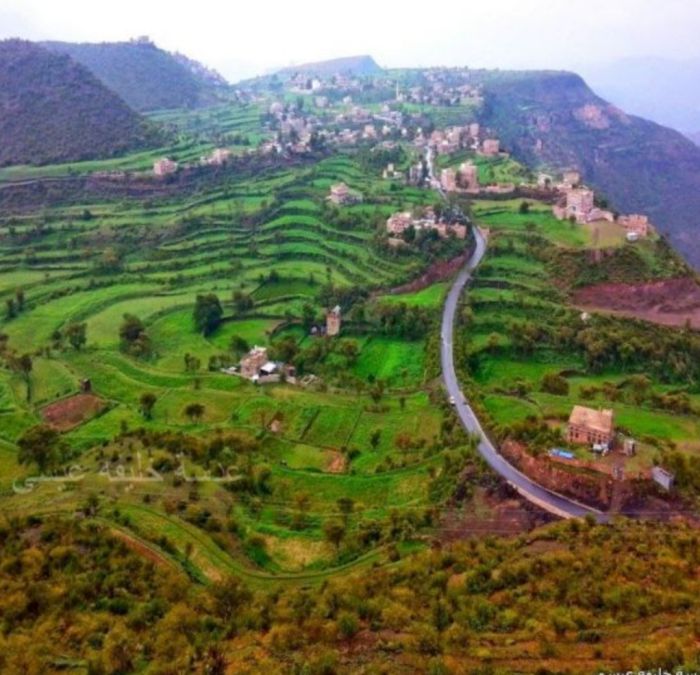 أب لثمانية أطفال ينهي حياته شنقًا بسبب انعدام فرص العمل في مناطق سيطرة الحوثيين