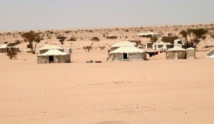  تقرير أممي: نزوح أكثر من 4 آلاف أسرة يمنية خلال عام واحد