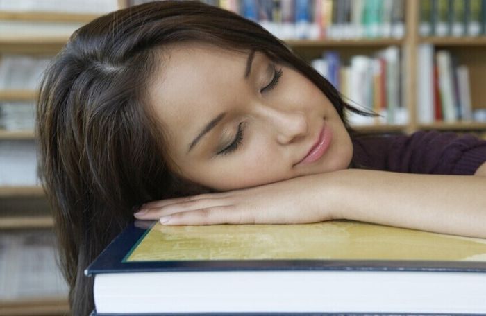 قيلولة النهار.. مفتاح خفي لتعافي الدماغ وتعزيز القدرة على التعلّم