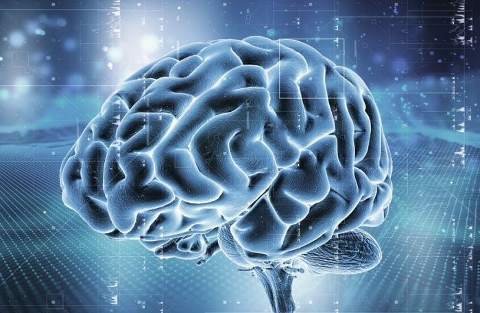 ممارسة الرياضة وبيئة محفزة تحمي الدماغ من الاكتئاب: اكتشاف بروتين Fgf2 كمؤشر حيوي